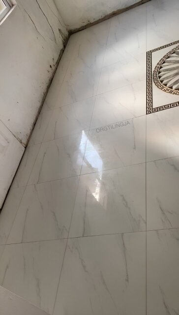 Skilled Tiler
