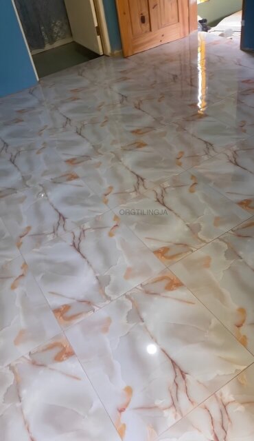 Skilled Tiler