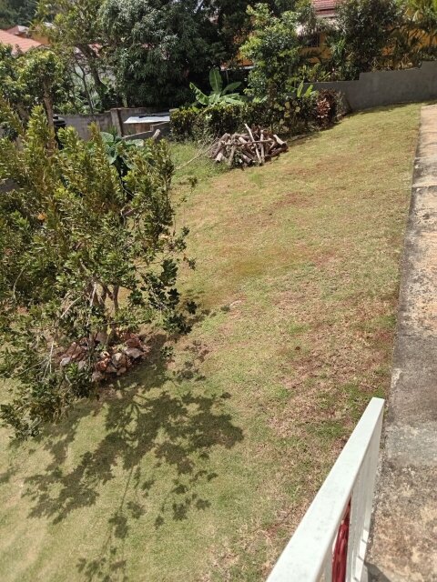 5 Bedrooms House For Sale, Mandeville