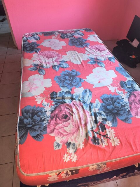 Both Mattress And Bed Bottom Twin Size Single Beds Harborview