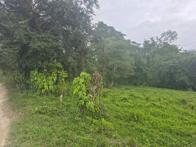 22 Acres Of Land In Amity