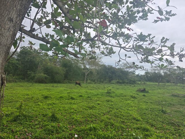 22 Acres Of Land In Amity