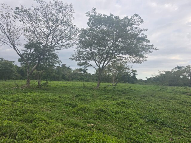 22 Acres Of Land In Amity