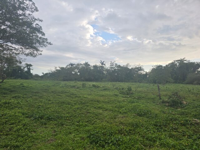 22 Acres Of Land In Amity