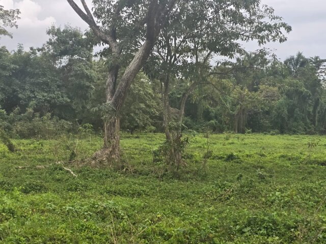 22 Acres Of Land In Amity