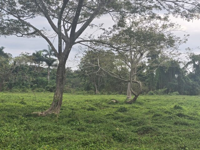 22 Acres Of Land In Amity