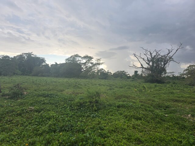 22 Acres Of Land In Amity