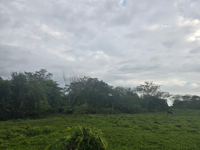 22 Acres Of Land In Amity