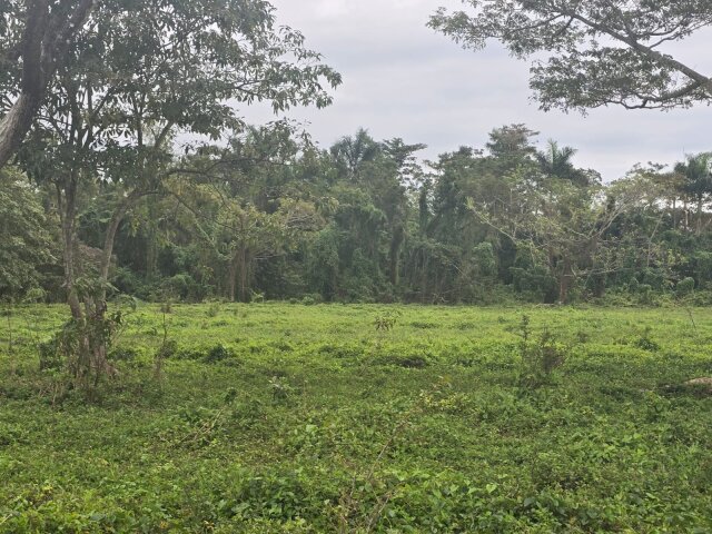 22 Acres Of Land In Amity