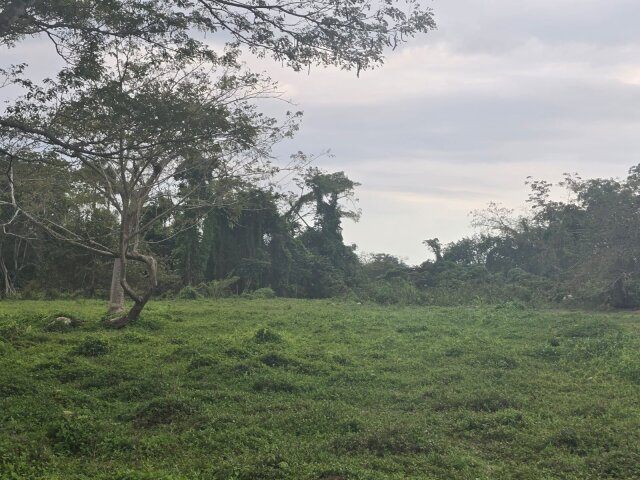 22 Acres Of Land In Amity