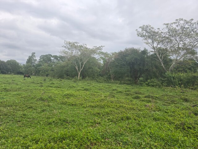 22 Acres Of Land In Amity