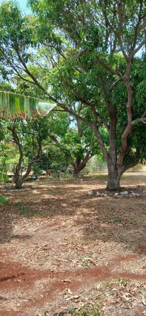 Spacious 4 Bedroom House On 2 Acres Of Land