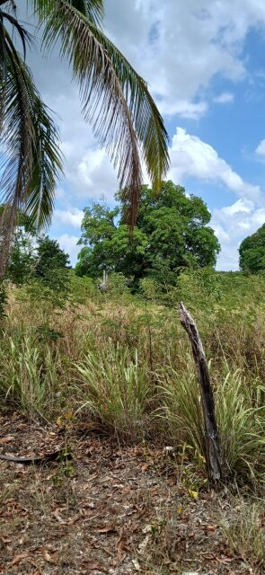 Spacious 4 Bedroom House On 2 Acres Of Land