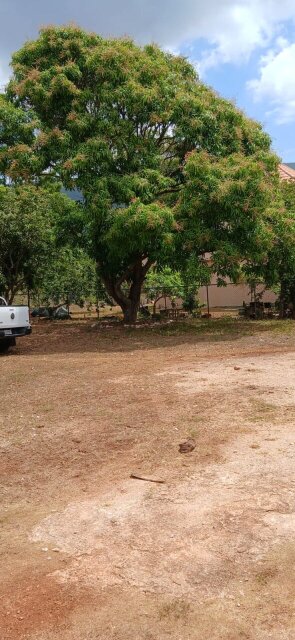 Spacious 4 Bedroom House On 2 Acres Of Land