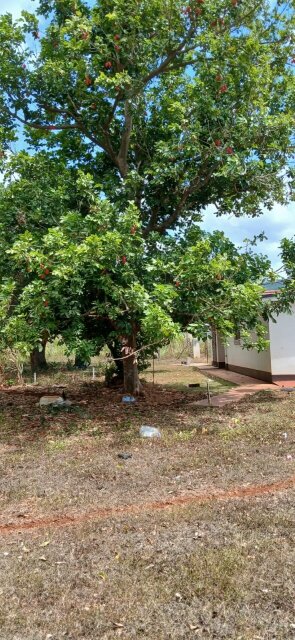 Spacious 4 Bedroom House On 2 Acres Of Land