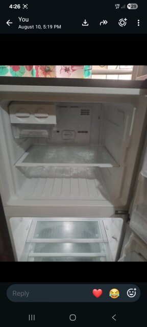Energy Efficient Frigidaire Fridge