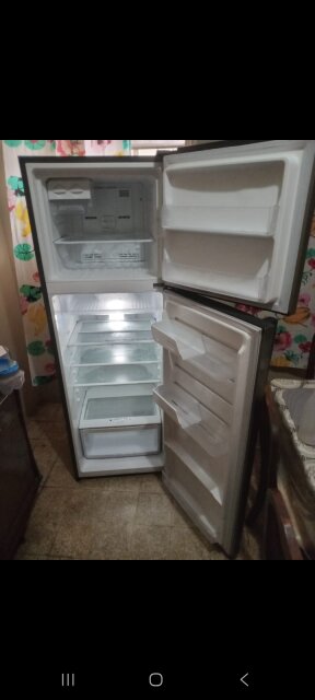 Energy Efficient Frigidaire Fridge