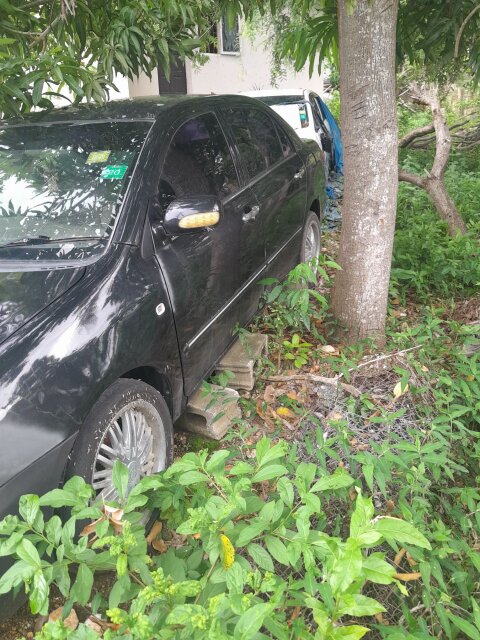 2005 Toyota Corolla Altis For Sale In Montego Bay
