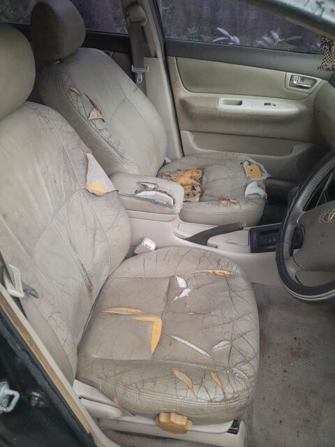 2005 Toyota Corolla Altis For Sale In Montego Bay