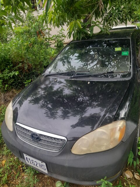 2005 Toyota Corolla Altis For Sale In Montego Bay