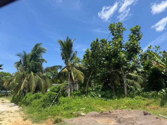 2 Beds House On Approx. 1.30 Acre Of Land