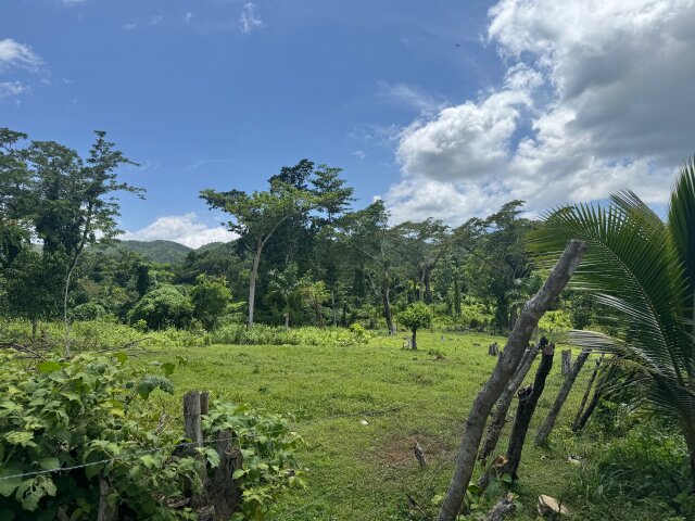 2 Beds House On Approx. 1.30 Acre Of Land