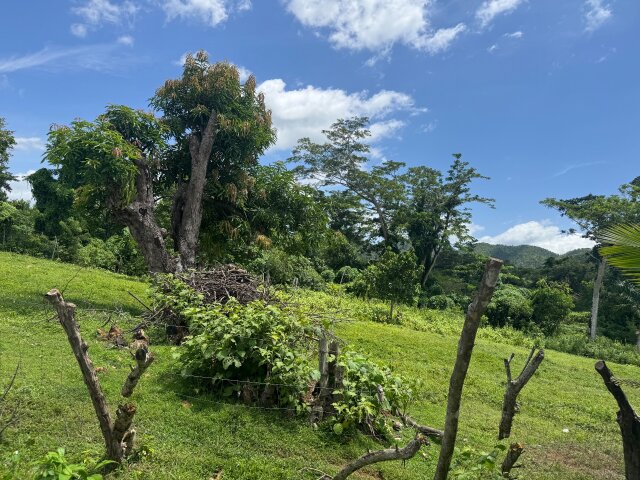 2 Beds House On Approx. 1.30 Acre Of Land