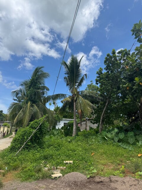 2 Beds House On Approx. 1.30 Acre Of Land