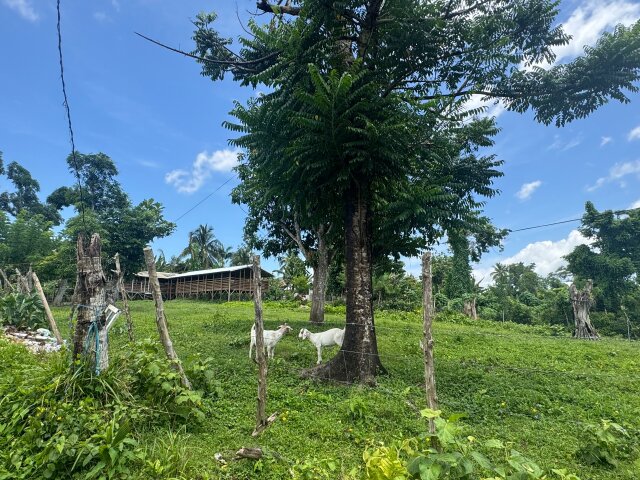 2 Beds House On Approx. 1.30 Acre Of Land