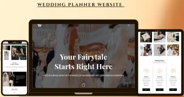 Website Design- SAIBUEX.COM