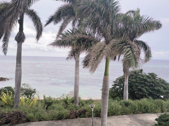 Ocean View 1 Bedroom at Sea Castles Resort