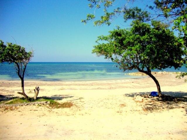 Ocean View 1 Bedroom at Sea Castles Resort