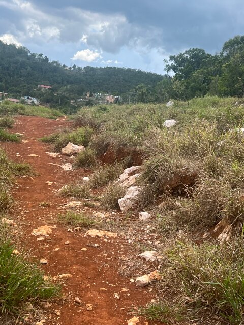 7 Lots, Newly Developed Area