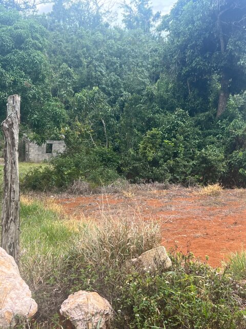 7 Lots, Newly Developed Area