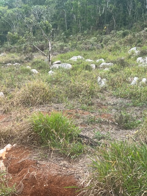 7 Lots, Newly Developed Area