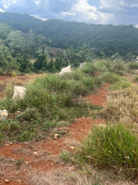 7 Lots, Newly Developed Area
