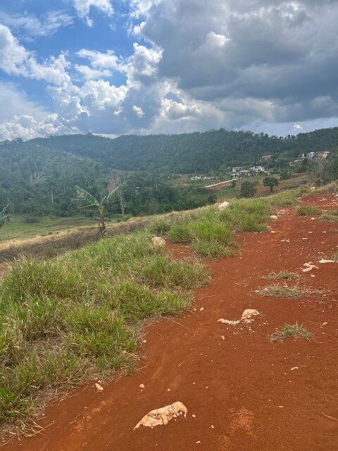 7 Lots, Newly Developed Area