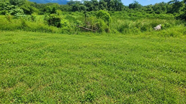 ORANGE BAY COUNTRY CLUB 5,200SQFT LOT