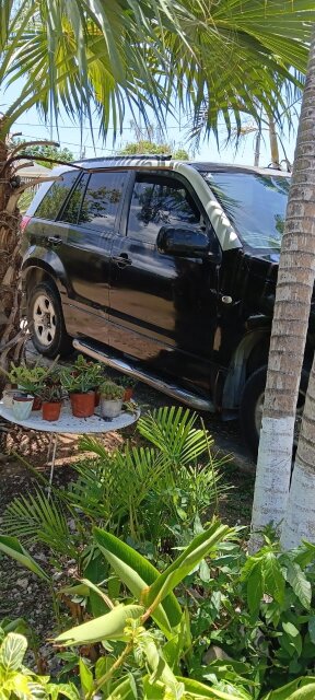 Suzuki Vitara   Suzuki