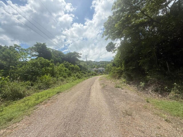 Lot For Sale| St. Ann