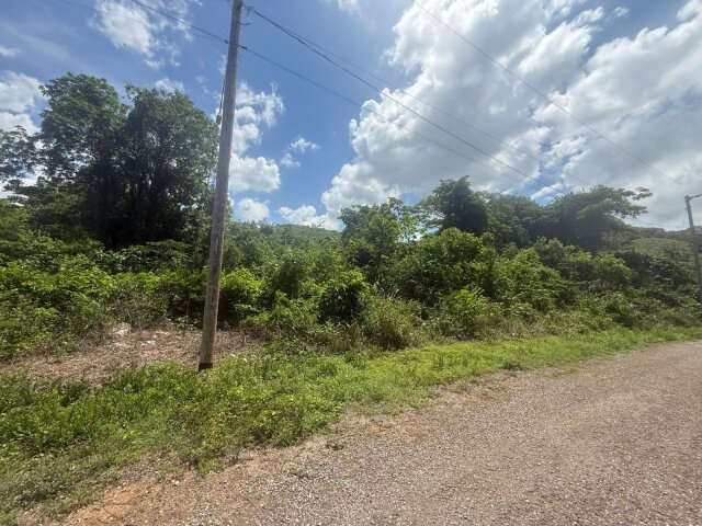 Lot For Sale| St. Ann