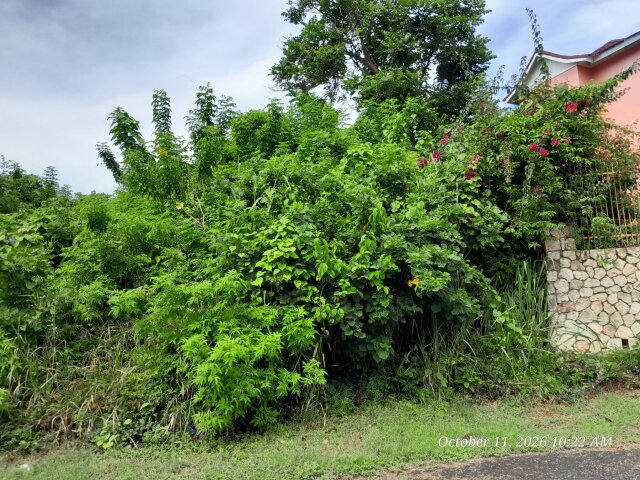 Orchard Gardens Lot For Sale