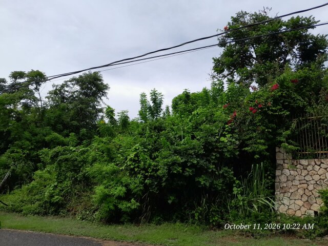Orchard Gardens Lot For Sale