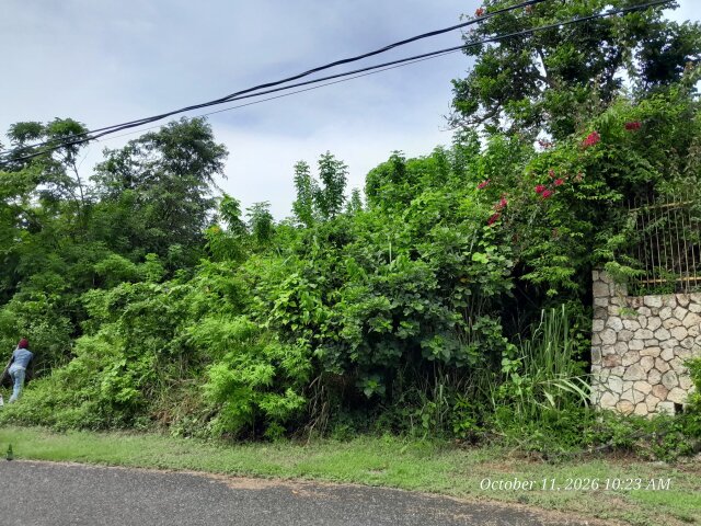 Orchard Gardens Lot For Sale
