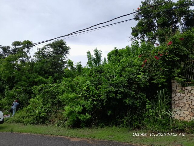 Orchard Gardens Lot For Sale