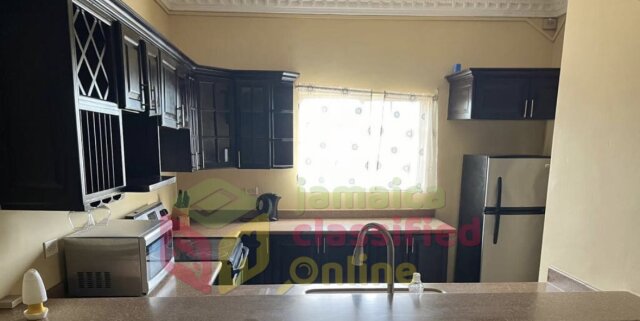 Furnished 1 Bedroom Apartment in Kingston 8 Apartments Kingston 8