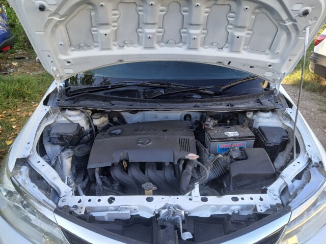 2016 TOYOTA AXIO 895 0488