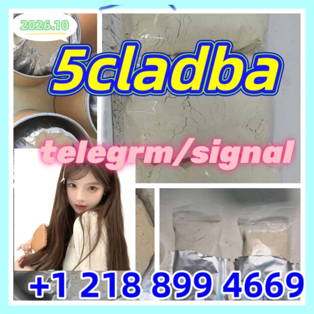 5cladba, Raw Materia Books 伊丽莎白