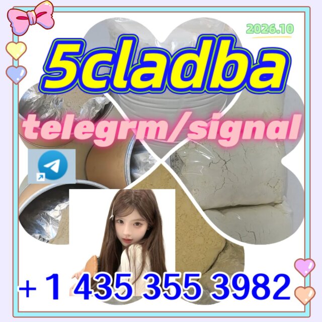5cladba, Raw Materia Books 伊丽莎白