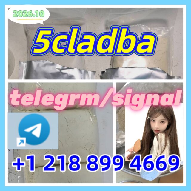 5cladba, Raw Materia Books 伊丽莎白
